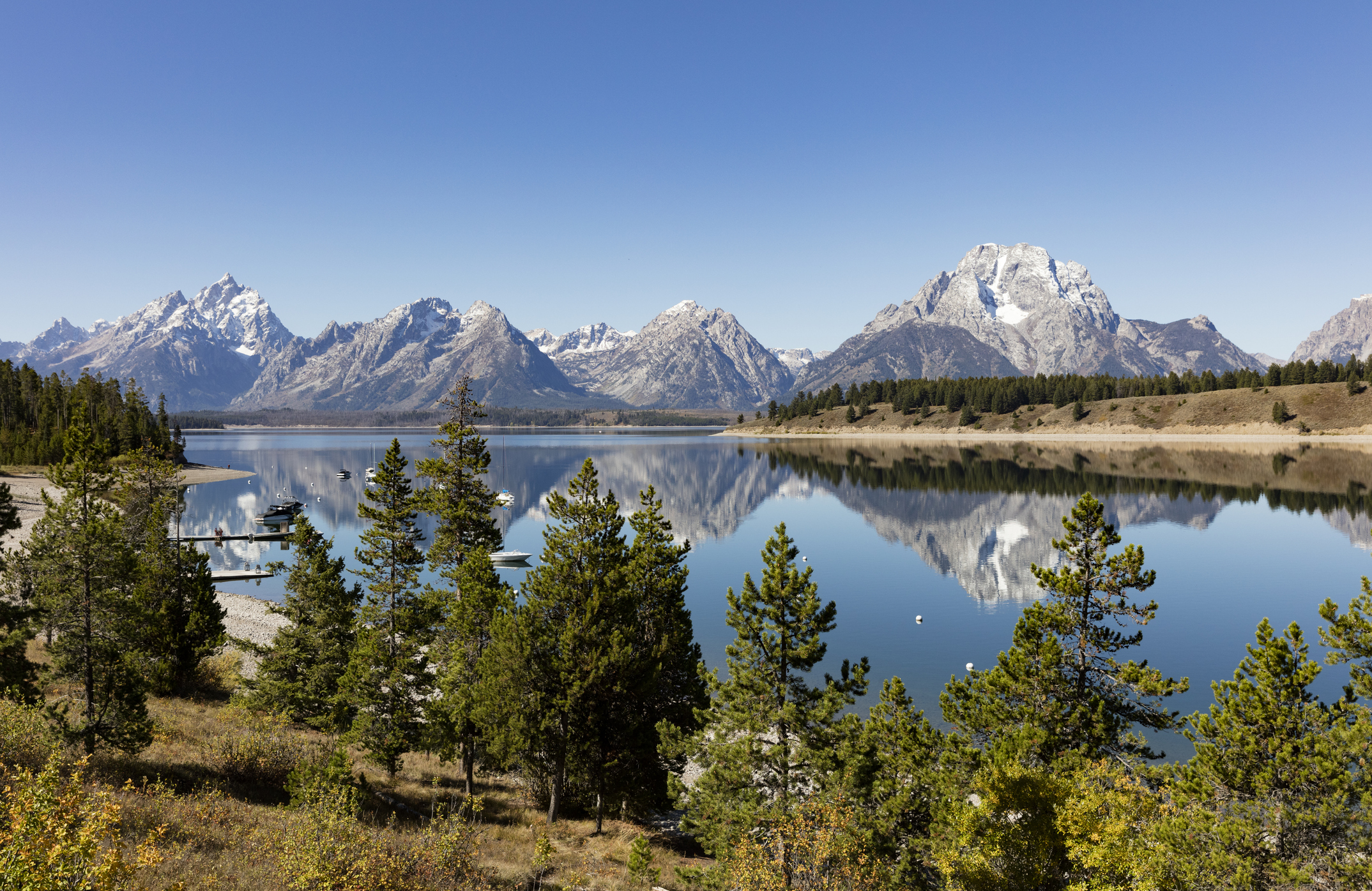 Steve Whiston - Fallen Log Photography/Getty Images