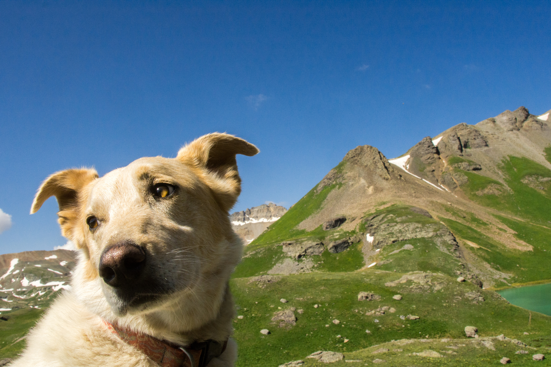 Created by MaryAnne Nelson/Getty Images